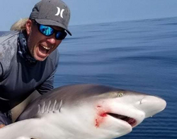 Florida’s shark-rich New Smyrna Beach